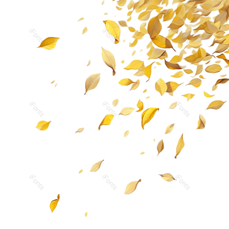 装饰图片,清新元素,秋天PNG,树叶免抠素材